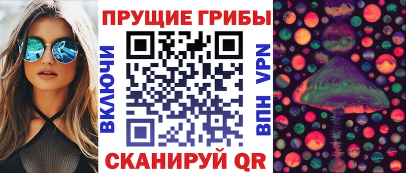 Галлюциногенные грибы Psilocybe  Купить закладки  Канск 