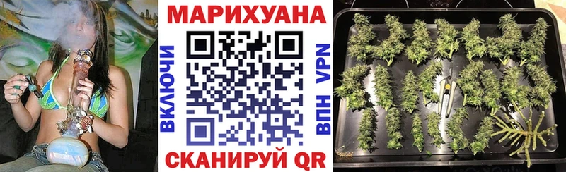 Бошки марихуана White Widow  Купить закладки  Канск 